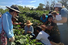 GoFarm Hawaii class at Poamoho Research Station